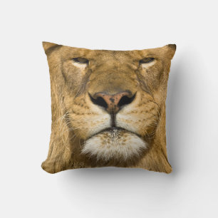 Cojín Decorativo León de Berbería africano, Panthera leo leo, uno d