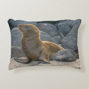 Cojín Decorativo León del Mar de Galápagos
