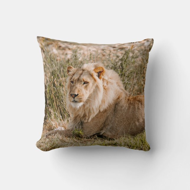 COJÍN DECORATIVO LEÓN EN LA GRASA (Anverso)
