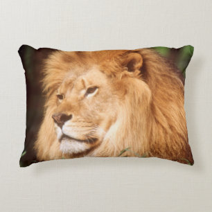 Cojín Decorativo León macho adulto