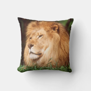 Cojín Decorativo León macho adulto