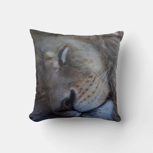 Cojín Decorativo León masculino durmiente (Anverso)