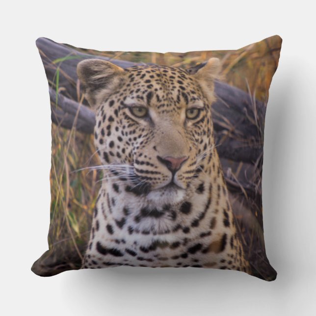 Cojín Decorativo Leopardo sentado, Botsuana, África (Anverso)