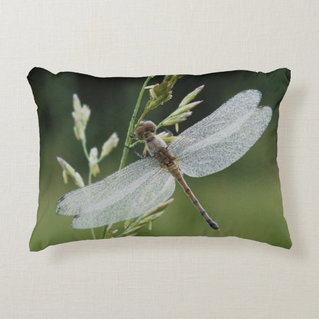 Cojín Decorativo Libélula Darner cubierta de rocío (Anverso)