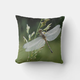 Cojín Decorativo Libélula Darner cubierta de rocío