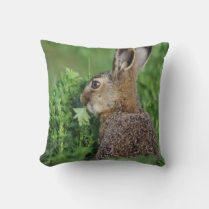 Cojín Decorativo Liebre parda, Lepus europaeus, joven comiendo,