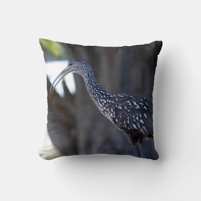 Cojín Decorativo Limpkin, The Crying Bird (Anverso)