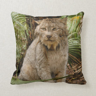 Cojín Decorativo Lince canadiense 4196e