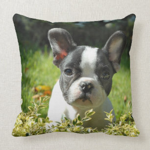Cojín decorativo lindo del perrito del bulldog