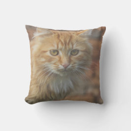 Cojín Decorativo Lindo Gato Naranja Funky Cara de Gatito
