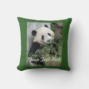 Cojín Decorativo Lindo Panda, Parte Trasera Verde Sólida, Nombre, C