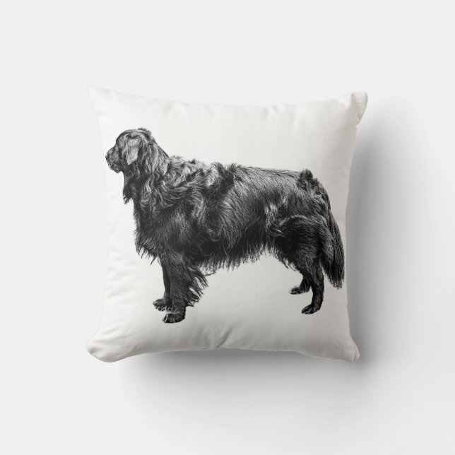 Cojín Decorativo Linterna Porch Companion (Anverso)