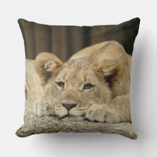 Cojín Decorativo Lion 040