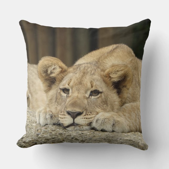 Cojín Decorativo Lion 040 (Anverso)