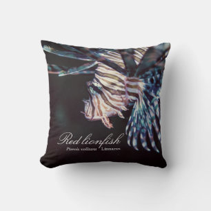 Cojín Decorativo Lionfish rojo (Pterois volitans, Linnaeus, 1758)