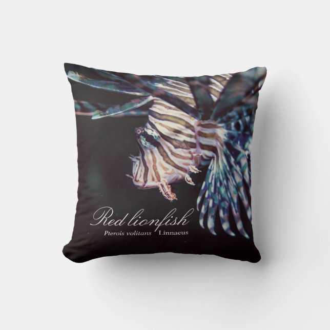 Cojín Decorativo Lionfish rojo (Pterois volitans, Linnaeus, 1758) (Anverso)