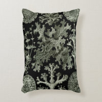 Liquen por Ernst Haeckel, Plantas de la Naturaleza