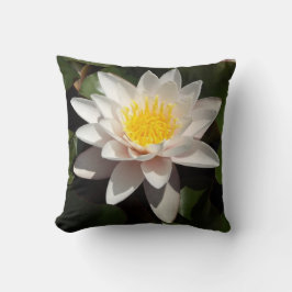 Cojín Decorativo Lirio de agua