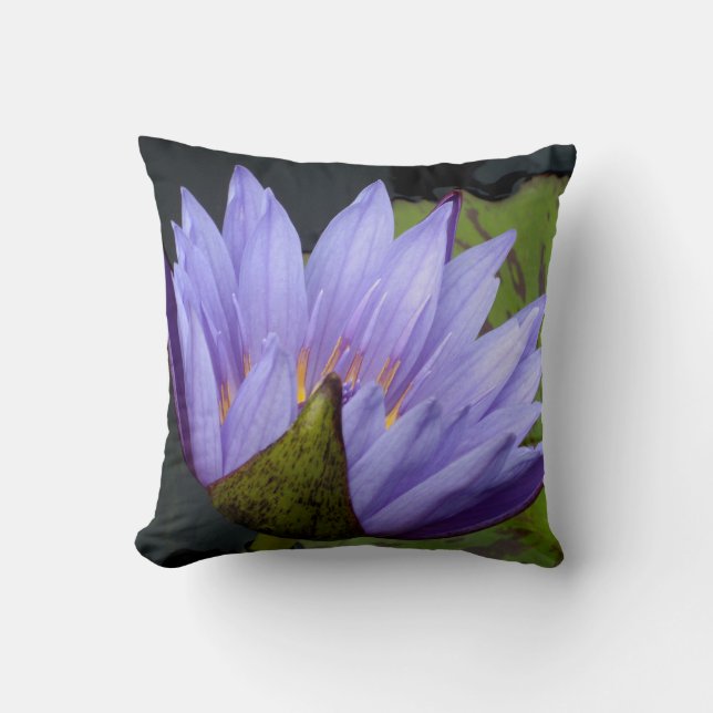 Cojín Decorativo Lirio de agua de lavanda (Anverso)