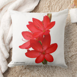 Cojín Decorativo Lirio de Kaffir / Lirio de río / Hesperantha Cocci