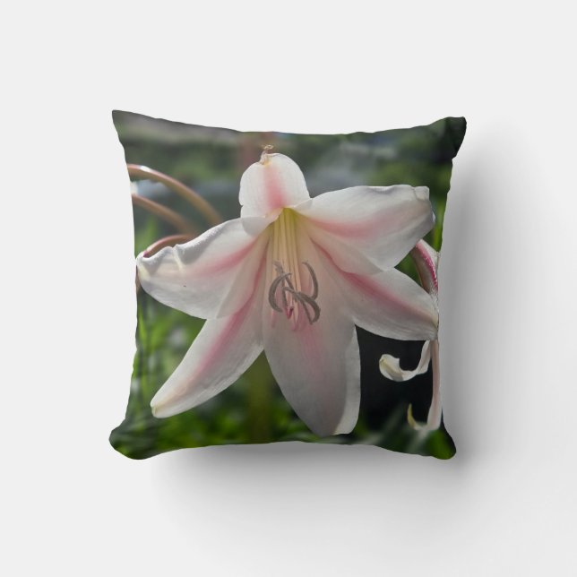 Cojín Decorativo Lirio rosa y blanco (Anverso)