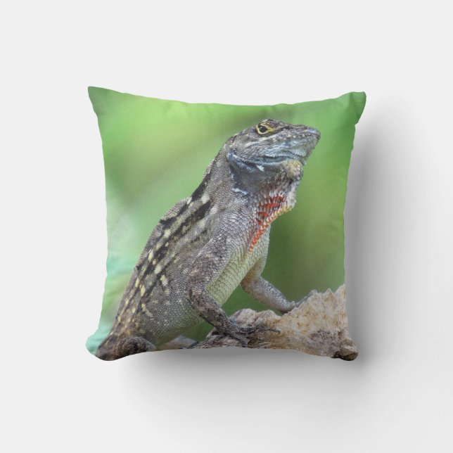Cojín Decorativo Lizard (Anole Marrón) (6891) - Pillow (Anverso)