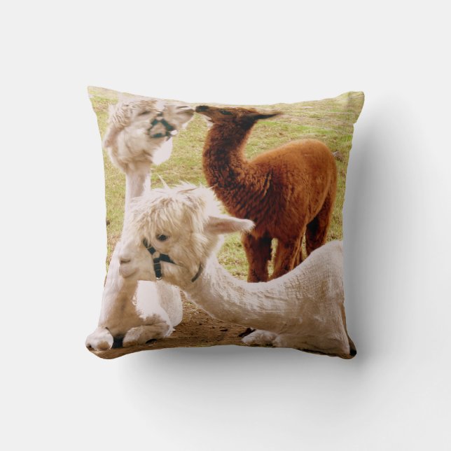 Cojín Decorativo Llamas con cachorro de cria de bebé (Anverso)