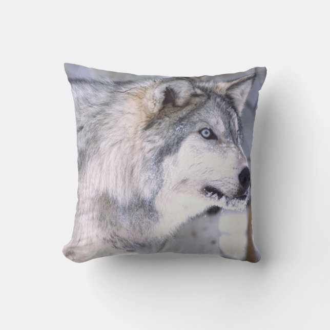 Cojín Decorativo Lobo de la madera, Canis lupus, película Animal Ut (Anverso)