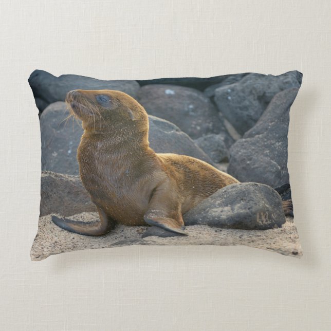 Cojín Decorativo Lobo Marino de Galápagos (Anverso)
