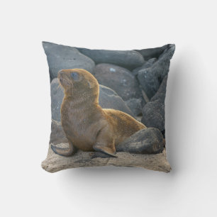 Cojín Decorativo Lobo Marino de Galápagos