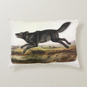 Cojín Decorativo Lobo negro, o lobo norteamericano negro (lupus can