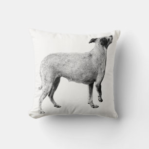 Cojín Decorativo Loft Calm—Amigo erguido