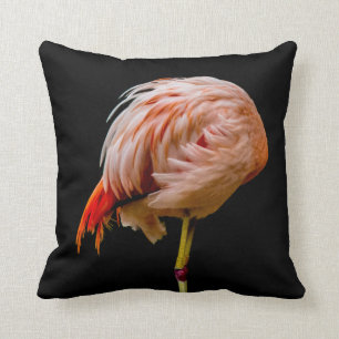 Cojín Decorativo Lollipop rosado del flamenco