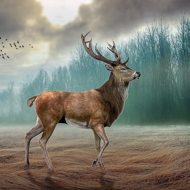 Cojín Decorativo Lone Deer In Misty Forest (Subido por el creador)