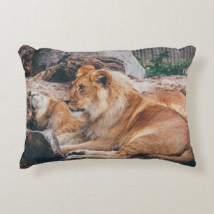 COJÍN DECORATIVO LONES Y LONES EN LA SUPERFICIE MARRONA