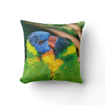 Lorikeets enamorados
