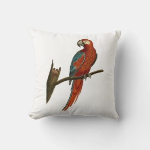 Cojín Decorativo Loro
