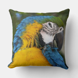 Cojín Decorativo Loro Azul Y Oro