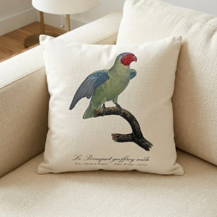 Cojín Decorativo Loro carirrojo macho, Geoffroyus geoffroyi