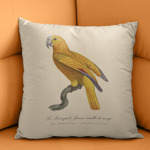 Cojín Decorativo Loro del Paraíso de Cuba, Psittacus Paradisi