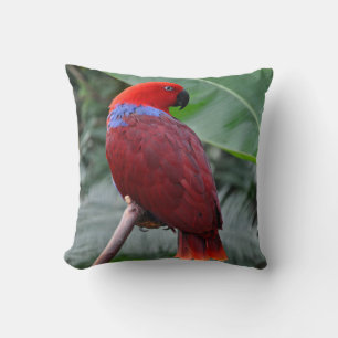 Cojín Decorativo Loro ecléctico rojo
