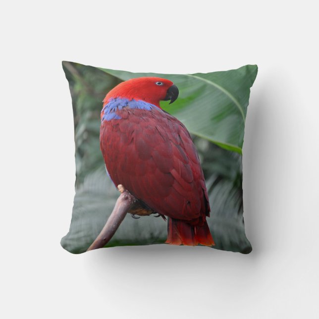 Cojín Decorativo Loro ecléctico rojo (Anverso)