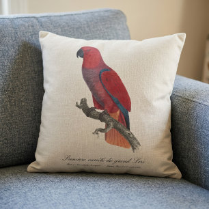 Cojín Decorativo Loro Eclecto de Vosmaer, Eclectus Roratus Vosmaeri