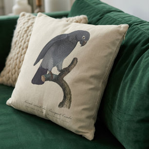 Cojín Decorativo Loro gris africano Timneh, Psittacus Timneh