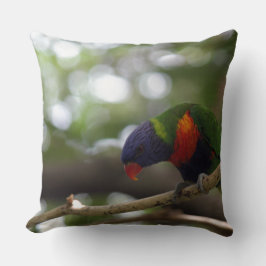 Cojín Decorativo loro pájaro tigre estampado personalizar Aniversar