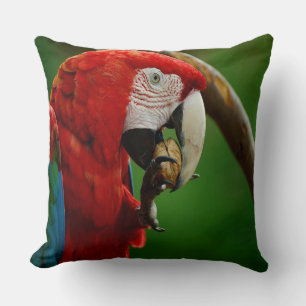 Cojín Decorativo Loro Rojo Tropical
