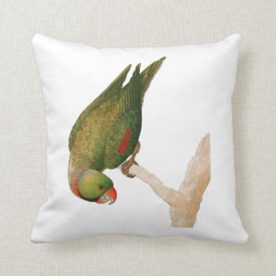 Cojín Decorativo Loro verde rojo