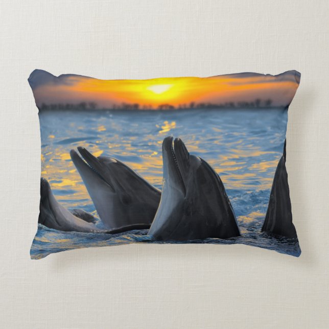 Cojín Decorativo Los delfínes botella-sospechados en luz de la (Anverso)
