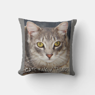 COJÍN DECORATIVO LOS GATOS SABEN COSAS