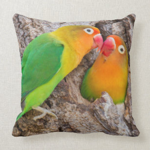 Cojín Decorativo Los Lovebirds que se besan, África de Fischer